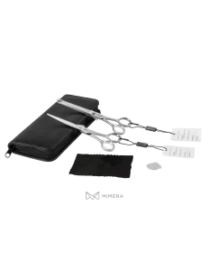 Professionelles Friseurscheren- Set AQE1510200