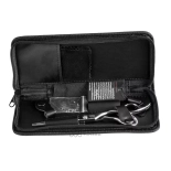 Professionelle Friseurschere AQE1110200