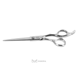 Professionelle Friseurschere AQE1110200