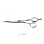 Professionelles Friseurscheren 11106