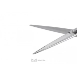 Professionelles Friseurscheren 11108