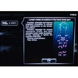 Elektrostimulationsgerät F-350