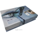 Ersatz-Spritzpistole