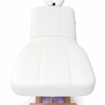 Elektrické SPA lehátko Silverfox LUNA PLUS E3 – s funkcí vyhřívání, teak/bílá
